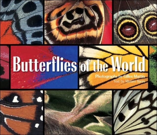 Butterflies of the World, Hardback Book