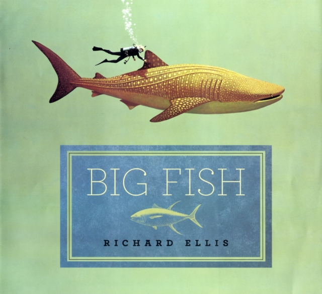 Big Fish, Hardback Book