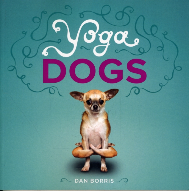 Yoga Dogs, Paperback / softback Book