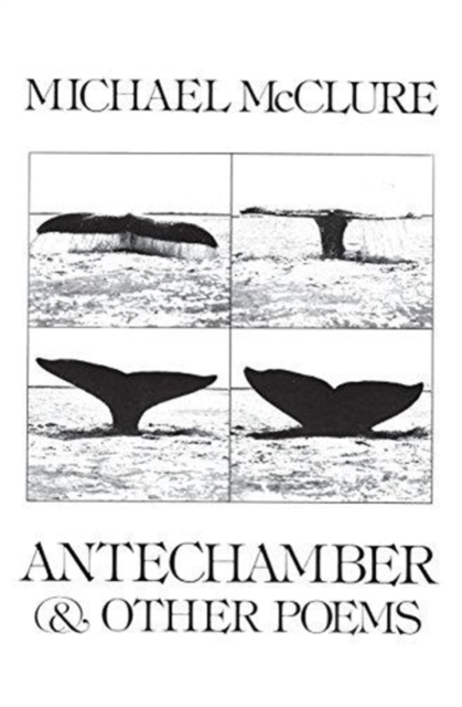 Antechamber and Other Poems, Paperback / softback Book