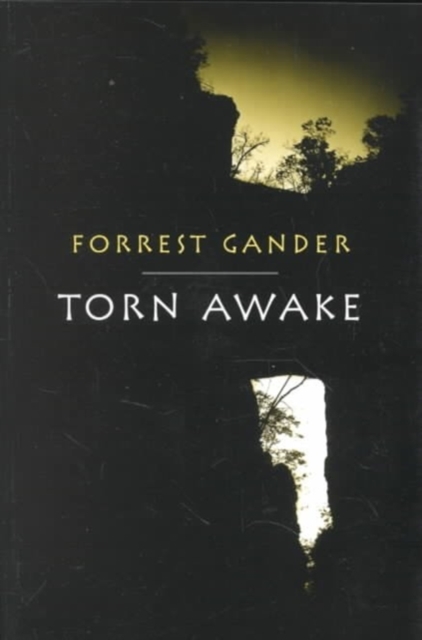 Torn Awake, Paperback / softback Book