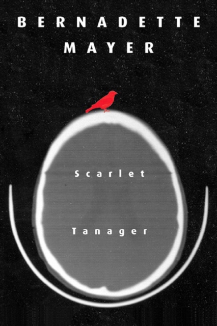 Scarlett Tanager : Poetry, Paperback / softback Book