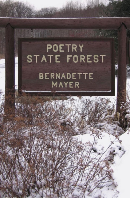 Poetry State Forest, Paperback / softback Book