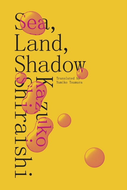 Sea, Land, Shadow, Paperback / softback Book