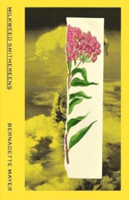 Milkweed Smithereens, Paperback / softback Book