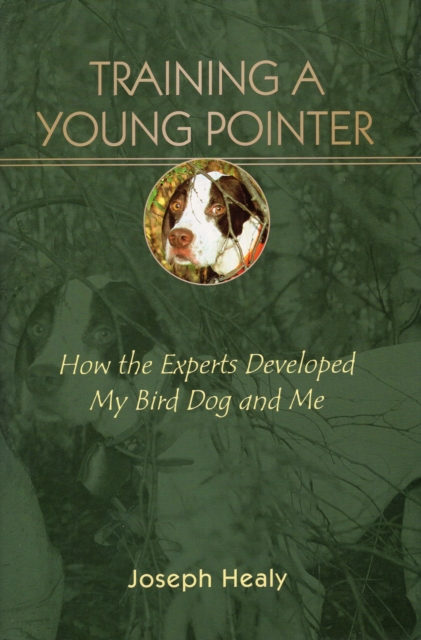 Training a Young Pointer : How the Experts Developed My Bird, Dog and Me, Hardback Book