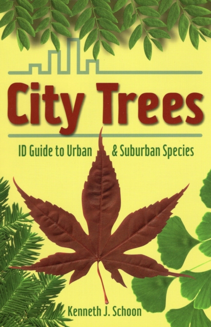 City Trees : ID Guide to Urban & Suburban Species, Paperback / softback Book