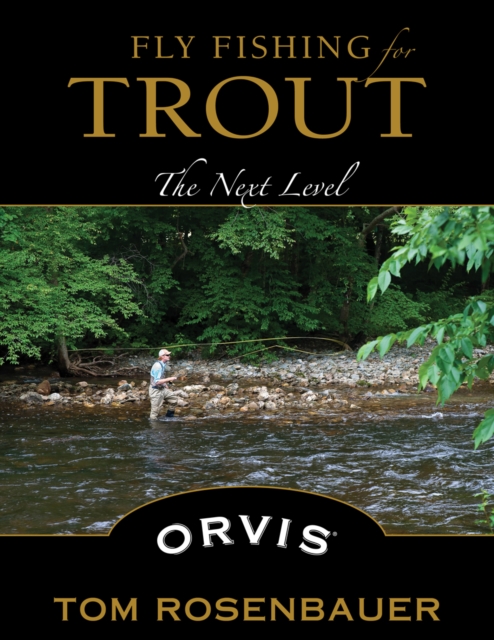 Fly Fishing for Trout : The Next Level, Paperback / softback Book