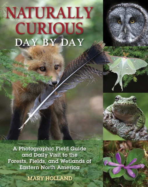 Naturally Curious Day by Day : A Photographic Field Guide and Daily Visit to the Forests, Fields, and Wetlands of Eastern North America, Paperback / softback Book
