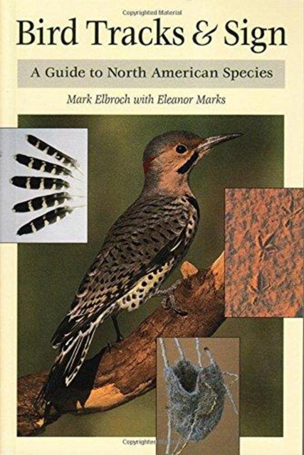 Bird Tracks and Sign : A Guide to North American Species, Paperback / softback Book
