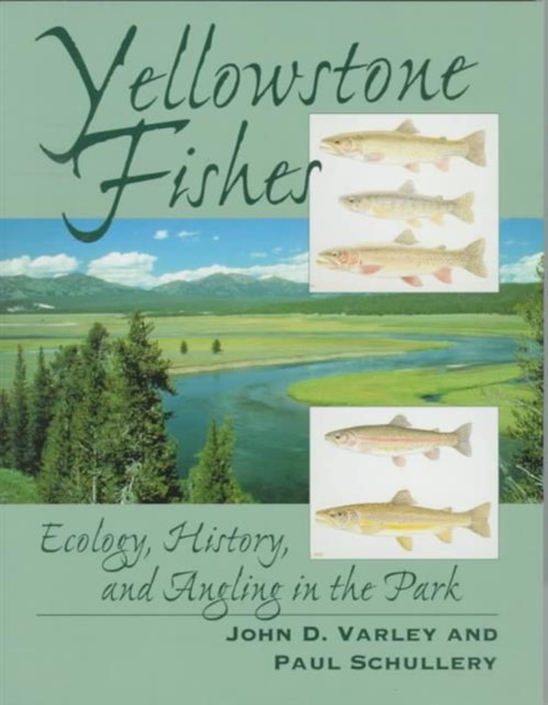 Yellowstone Fishes : Ecology, History, and Angling in the Park, Paperback / softback Book