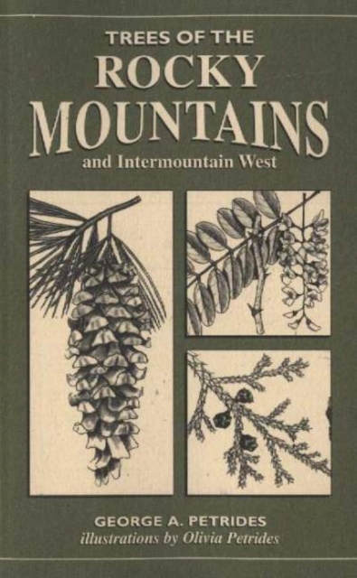 Trees of the Rocky Mountains : And Intermountain West, Paperback Book