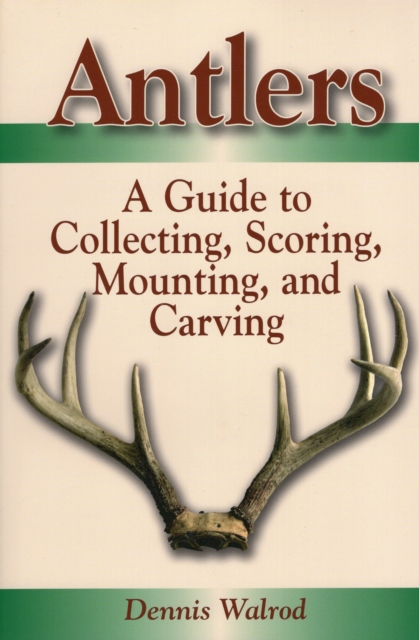 Antlers A Guide to Collecting,, Paperback / softback Book