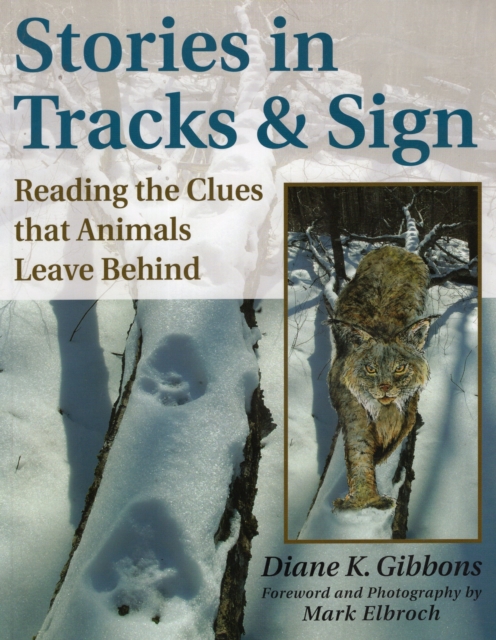 Stories in Tracks and Sign : Reading the Clues That Animals Leave Behind, Paperback / softback Book