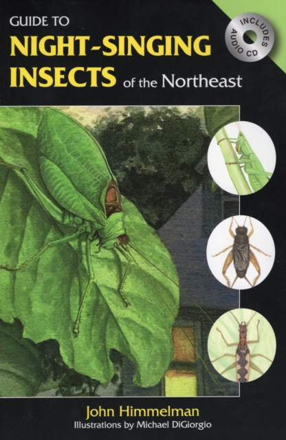 Guide to Night-Singing Insects : of the Northeast, Paperback / softback Book