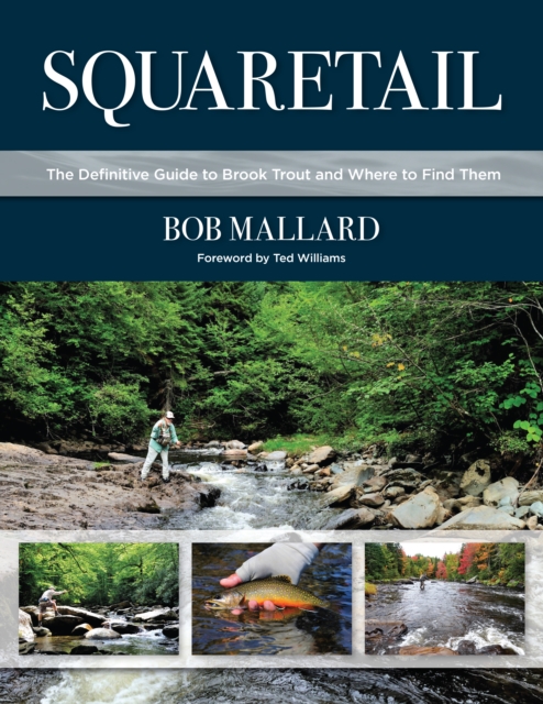 Squaretail : The Definitive Guide to Brook Trout and Where to Find Them, Hardback Book