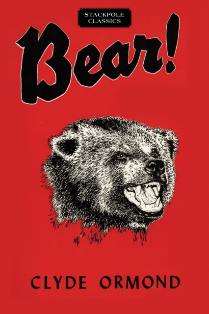 Bear!, Paperback / softback Book