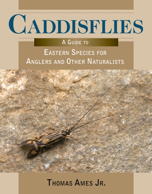 Caddisflies : A Guide to Eastern Species for Anglers and Other Naturalists, Paperback / softback Book