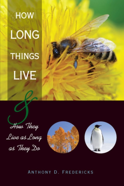 How Long Things Live : And How They Live as Long as They Do, EPUB eBook