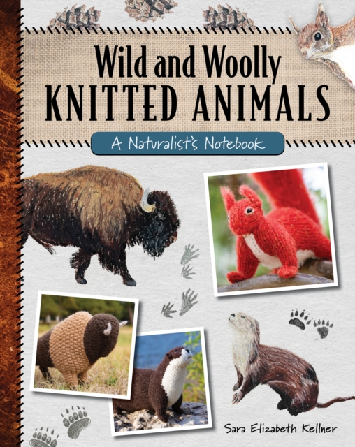 Wild and Woolly Knitted Animals : A Naturalist's Notebook, Paperback / softback Book