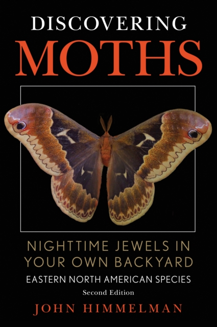 Discovering Moths : Nighttime Jewels in Your Own Backyard, Eastern North American Species, Paperback / softback Book