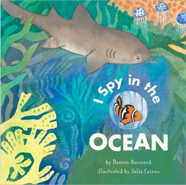 I Spy in the Ocean, Board book Book