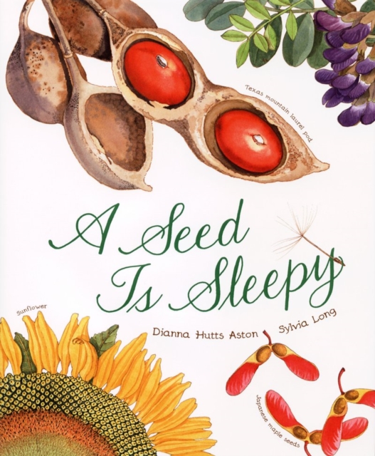 A Seed Is Sleepy, Hardback Book