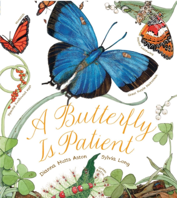 Butterfly Is Patient, Hardback Book
