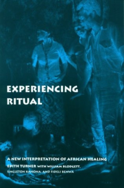 Experiencing Ritual : A New Interpretation of African Healing, PDF eBook