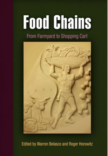 Food Chains : From Farmyard to Shopping Cart, Paperback / softback Book