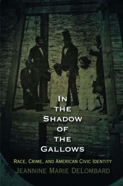 In the Shadow of the Gallows : Race, Crime, and American Civic Identity, Paperback / softback Book