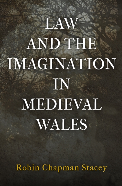 Law and the Imagination in Medieval Wales, Hardback Book