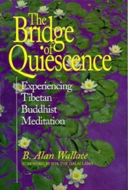 Bridge of Quiescence : Experiencing Tibetan Buddhist Meditation, Paperback / softback Book