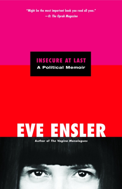 Insecure at Last : A Political Memoir, Paperback / softback Book