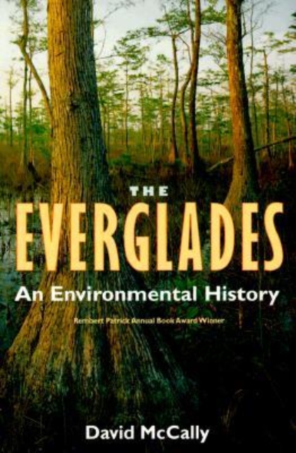 The Everglades : An Environmental History, Paperback / softback Book