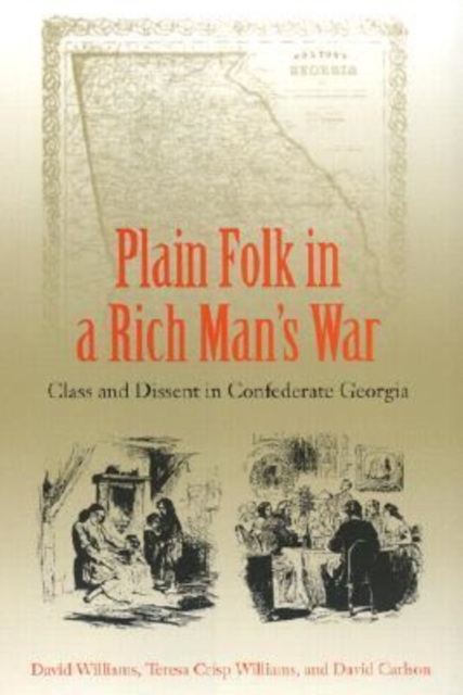 Plain Folk in a Rich Man's War : Class and Dissent in Confederate Georgia, Hardback Book