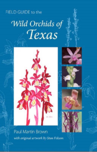 Field Guide to the Wild Orchids of Texas, Paperback / softback Book