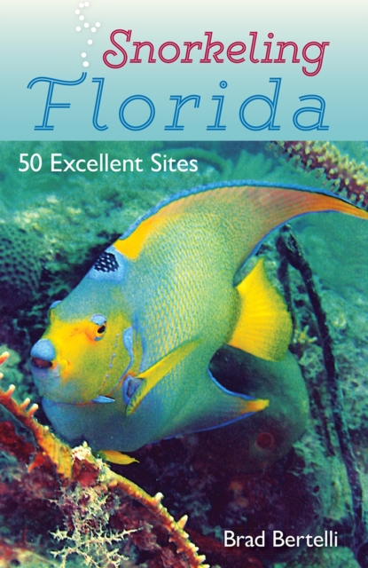 Snorkeling Florida : 50 Excellent Sites, Paperback / softback Book