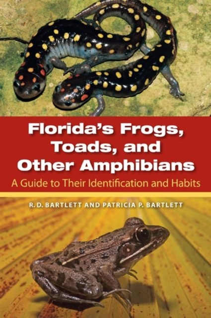 Florida's Frogs, Toads, and Other Amphibians : A Guide to Their Identification and Habits, Paperback / softback Book