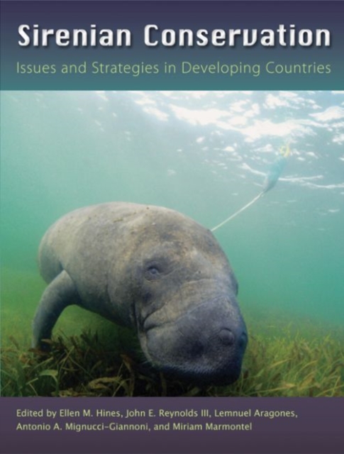 Sirenian Conservation : Issues and Strategies in Developing Countries, Hardback Book