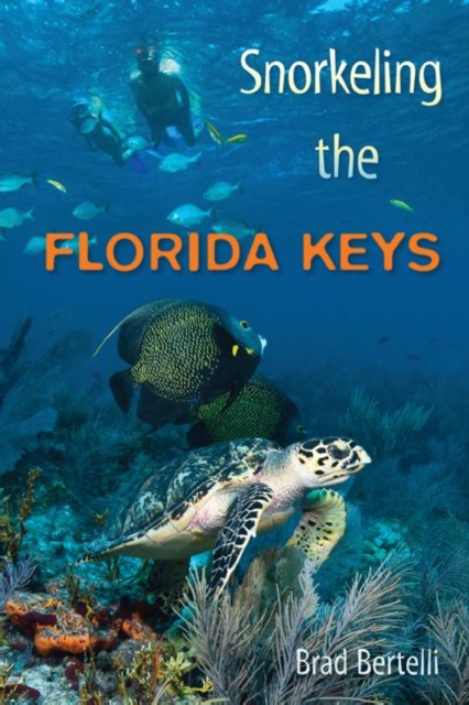 Snorkeling the Florida Keys, Paperback / softback Book