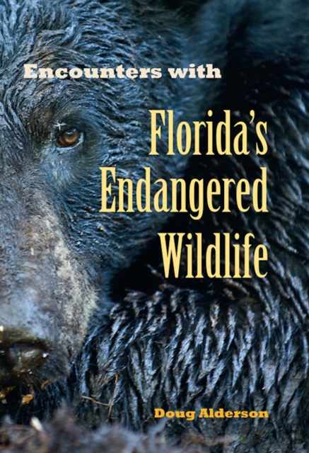Encounters with Florida's Endangered Wildlife, EPUB eBook