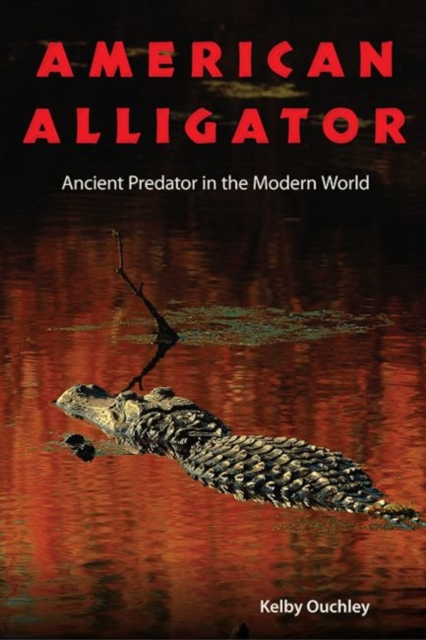 American Alligator : Ancient Predator in the Modern World, Hardback Book
