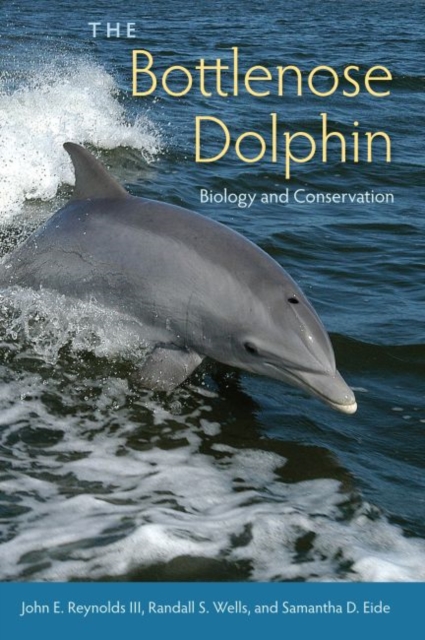 The Bottlenose Dolphin : Biology and Conservation, Paperback / softback Book