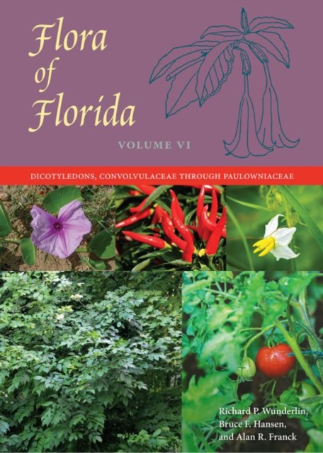 Flora of Florida, Volume VI : Dicotyledons, Convolvulaceae through Paulowniaceae, Hardback Book