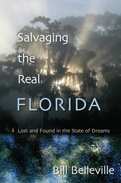 Salvaging the Real Florida : Lost and Found in the State of Dreams, EPUB eBook