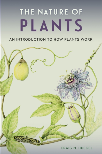 The Nature of Plants : An Introduction to How Plants Work, EPUB eBook