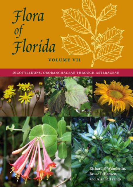 Flora of Florida, Volume VII : Dicotyledons, Orobanchaceae through Asteraceae, Hardback Book