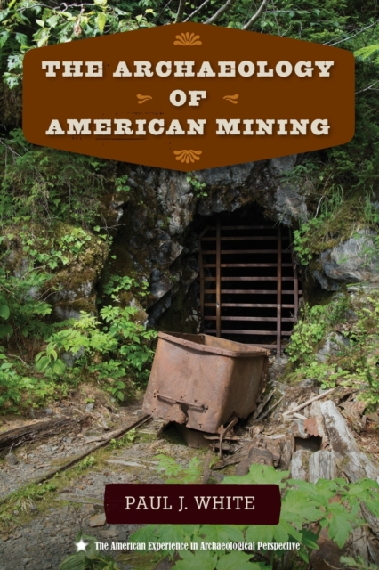 The Archaeology of American Mining, Paperback / softback Book