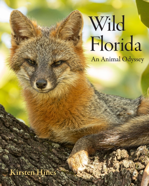 Wild Florida : An Animal Odyssey, Hardback Book